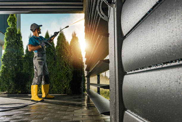 Best Solar Panel Cleaning  in Alton, TX